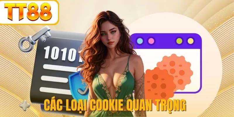 Cách chính sách Cookie hoạt động trên website